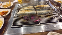 와이고수 - 장어먹고왔슴ㅅㅅ 장어먹고왔슴ㅅㅅ