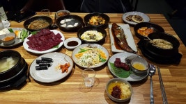 와이고수 - 육사시미로 달린다. 육사시미로 달린다.