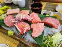와이고수 - 생일날 먹었던 참치 생일날 먹었던 참치