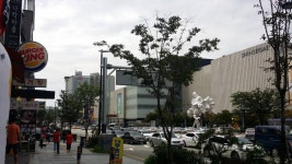 와이고수 - 금딸하려고 천안야우리갔다옴  금딸하려고 천안야우리갔다옴 