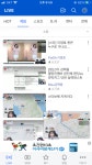 와이고수 - 보혜 하블리 비상 보혜 하블리 비상