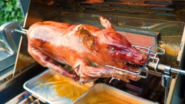 와이고수 - 돼지 BBQ 먹고 싶다. JPG 돼지 BBQ 먹고 싶다. JPG