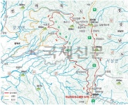 국제신문