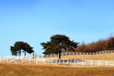 [350D]종마목장 - COOL 갤러리