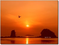 꽃지의 붉은노을 - COOL 갤러리