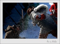 북새통 속의 즐거운 비명~^^ - COOL 갤러리