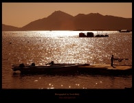 [D100] 유년의 바다 - COOL 갤러리