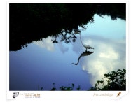 707™/ 둘.. - COOL 갤러리