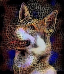 Dream Weaver the Pooch | Deep Dream Generator Dream Weaver the Pooch