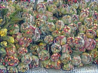 Flowers | Deep Dream Generator