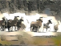 Deep Dream Generator 