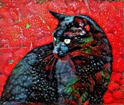 Berry Delcioius | Deep Dream Generator