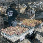 Deep Dream Generator 