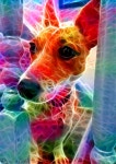 Deep Dream Generator 