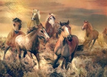 Horses | Deep Dream Generator