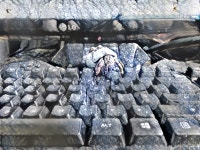 Deep Dream Generator 