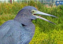 Deep Dream Generator 
