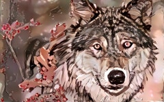 johann da silva | Deep Dream Generator