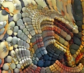 v | Deep Dream Generator