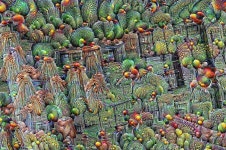 Eric | Deep Dream Generator
