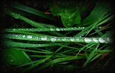 Img_3967-01 | Deep Dream Generator Img_3967-01