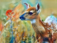 Fawn In The Meadow | Deep Dream Generator Fawn In The Meadow