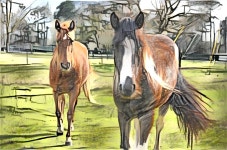 Deep Dream Generator 