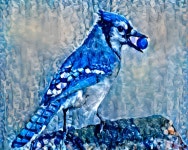 Charls Nixon | Deep Dream Generator
