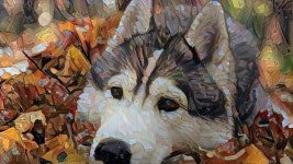 Similar Dreams | Deep Dream Generator