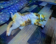 최희정 | Deep Dream Generator
