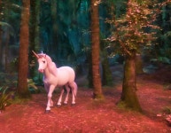Definitely A Unicorn | Deep Dream Generator Definitely A Unicorn 