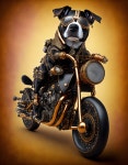 wazup dawg? | Deep Dream Generator wazup dawg?