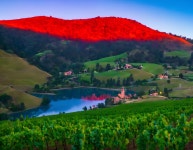 Looking forward to tasting that wine with Him. | Deep Dream Generator Looking forward to tasting that wine with Him. 