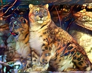 Mates | Deep Dream Generator