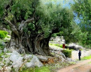 AI Generated Ithaca Photos and Artwork | Deep Dream Generator