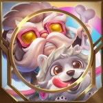 iololoi#KR1 - 시즌 11 전적 종합 - 롤체지지