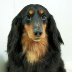 Strava 사이클리스트 프로필 | [PCC] 홍흥도