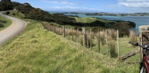 Auckland, Auckland Region, New Zealand 클럽 | MEC Bikes - St Heliers - Strava MEC Bikes - St Heliers