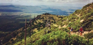 Mogollon Monster 100  | Strava 클럽 Mogollon Monster 100 