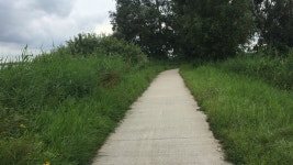 Rob van Bree  | Strava를 사용 중인 사이클리스트