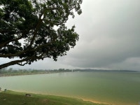 Media from Kranji Marshes Loop on Strava