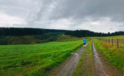 Strava에서 Kieran C.님이 2019년 8월 3일에 수행한 6.3km 달리기 활동 Dog Jog - Kieran Coopers 6.3km run