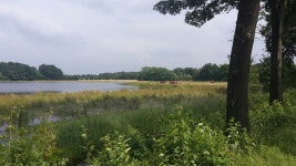 Pieter De Groef | Strava를 사용 중인 사이클리스트