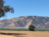 Strava 걷기 활동 Another non-gym gym day. Finished pavers, raked finish surface on bocce court, and dug 26 holes for lavender... 