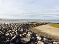 Nicola Benson | Strava를 사용 중인 달리기 선수