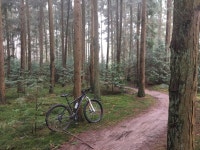 Strava 사이클리스트 프로필 | Jeppe L.