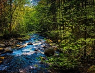 Strava 사이클리스트 프로필 | Francis Vézina