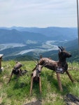 Strava에서 近藤 要.님이 2022년 5월 5일에 수행한 136.0km 라이딩 활동 熊トレ&SDL合同ライド - 近藤 要s 136.0km bike ride