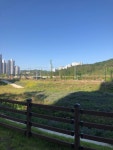 Strava 달리기 선수 프로필 | 동철 신