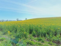 Strava에서 Eric 3.님이 2023년 4월 9일에 수행한 51.7km 라이딩 활동 3 - Morning Ride - Eric 3.s 51.7km bike ride